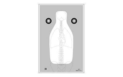 ACTION TGT FBI VITAL ANTM GRY 100PK