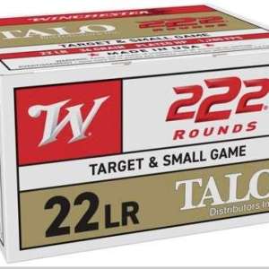 WINCHESTER 22LR 36GR LEAD HP 222RD 10BX/CS