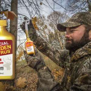 WR GOLDEN ESTRUS 4OZ