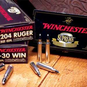Winchester Ammo SBST3006A Ballistic Silvertip 30-06 Springfield 168 gr Polymer Tip 20 Bx/ 10 Cs