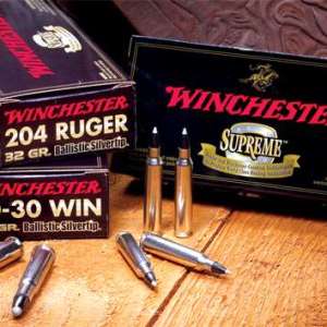 Winchester Ammo SBST7MMS Ballistic Silvertip 7mm WSM 140 gr Polymer Tip 20 Bx/ 10 Cs