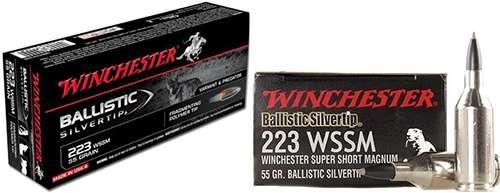 Winchester Ammo SBST223SS Ballistic Silvertip 223 WSSM 55 gr Polymer Tip 20 Bx/ 10 Cs