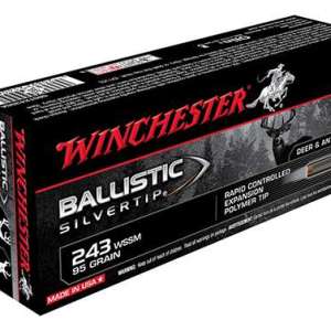 Winchester Ammo SBST243SSA Ballistic Silvertip 243 WSSM 95 gr Polymer Tip 20 Bx/ 10 Cs