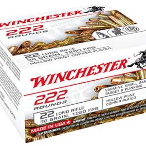 Winchester Ammo 22LR222HP USA  22 LR 36 gr Copper Plated Hollow Point (CPHP) CAN 222 Bx/ 10 Cs
