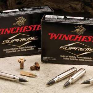 Winchester Ammo S270WSMCT Expedition Big Game 270 WSM 140 gr AccuBond CT 20 Bx/ 10 Cs